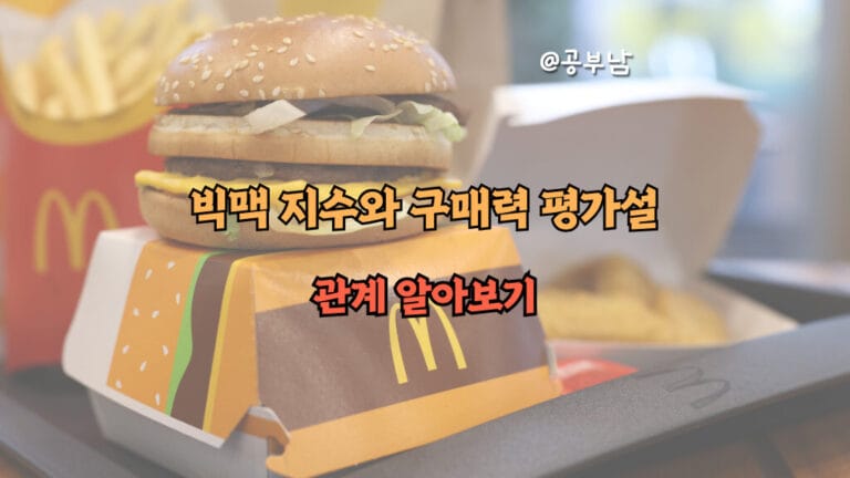 빅맥 지수와 구매력 평가설의 관계 알아보기