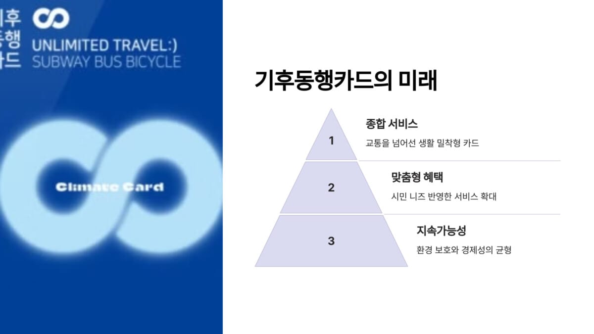 기후동행카드의 미래